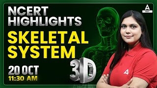 Skeletal System One Shot in 3D  NCERT Highlights  NEET 2024 Biology  Garima Goel [upl. by Quintilla]