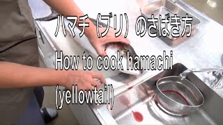 ハマチ（ブリ）のさばき方 How to cook hamachi yellowtail sashimi Japanese food [upl. by Adnovad906]