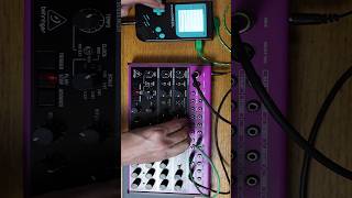 Behringer Edge and Gameboy Amenizer  Drum and Bass mayhem behringer gameboy [upl. by Aztilay]