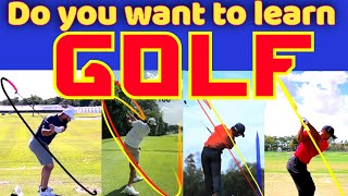 Do you want to learn Golf Swing  WN1 Sports [upl. by Euqinom]