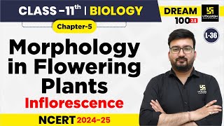 Class 11 Biology Chapter 5  Morphology in Flowering Plants  Inflorescence  L36  Shubham Sir [upl. by Peer]