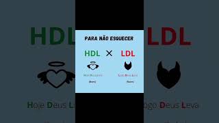 Diferença entre colesterol HDL X LDL [upl. by Nylorac]