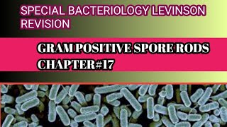 Revision of Levinson chapter17  gram positive spore forming rods [upl. by Asined499]