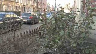 Exposed Shocking living conditions in Glasgows Govanhill [upl. by Tongue]