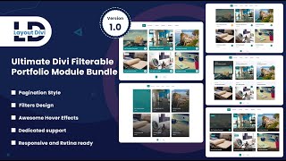 How To Import Divi Filterable Portfolio Sections [upl. by Legin]