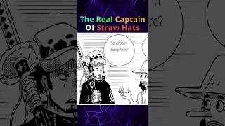 The Real Captain Of Straw Hats ft Nami Law Usopp  One Piece sliceoflife manhwa funny [upl. by Aicetal]