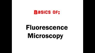 Fluorescence Microscopy in 5 mins HD [upl. by Aila]