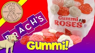 Valentines Day Brachs Gummi Roses Fruit Flavored Kids USA Candy [upl. by Ziagos]