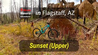 MTB Flagstaff Sunset Upper  Life and Death in the Burn Zone [upl. by Ynamreg]