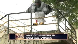 Pombo gigante acerta seus alvos em cheio e tira a galera do sério [upl. by Annavas]