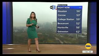 ABC13 Houstons Hot amp Curvy Elita Loresca On 122223 [upl. by Lienahs799]