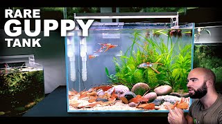 Aquascape Tutorial RARE GUPPY TANK Natural Style How To Step By Step Guide [upl. by Ready]