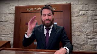 Sefiras HaOmer Interesting Halachos [upl. by Ahdar]