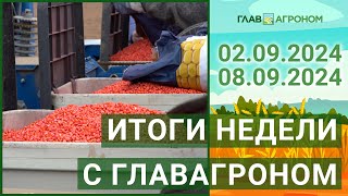 Итоги недели с ГлавАгроном 02092024  08092024 [upl. by Neva]