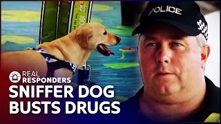 Sniffer Dog Cracks Down On Drug Smuggling  Territory Cops  Real Responders [upl. by Heyward]