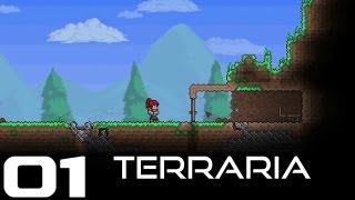 Terraria PC en Español 01  ¡¡Necesito vuestra opinión [upl. by Clover]