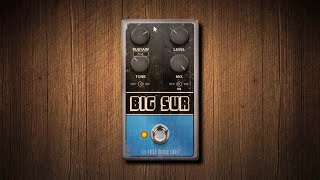 Saturate your way forward with BIG SUR by Fuse Audio Labs [upl. by Banna]