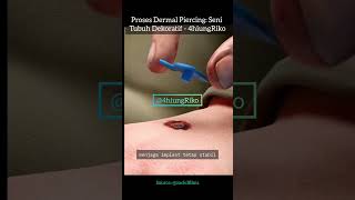 Proses Dermal Piercing Seni Tubuh Dekoratif  4hiungRiko [upl. by Eseerehc]