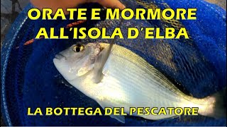 La Bottega del Pescatore  Orate e Mormore all Isola D Elba [upl. by Ylrad]