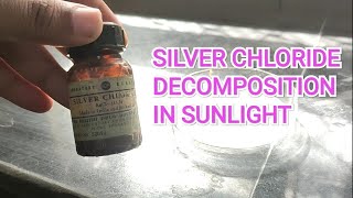 Silver Chloride Decomposition Reaction [upl. by Ecnatsnoc]