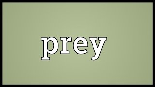 Prey Meaning [upl. by Eelyrehc101]