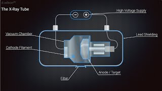 X Ray Production Animation [upl. by Etnaik]