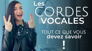 Les CORDES VOCALES tout ce que vous devez savoir pour MAÎTRISER votre VOIX [upl. by Onoitna330]