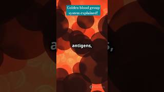 Golden blood group Rare blood type facts shorts rare [upl. by Bloch]