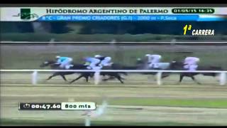 Gran Premio Criadores G1  01052015  Palermo Furia Cruzada [upl. by Taveda]