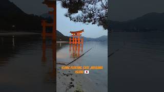 Iconic floating gate Miyajima Island travel japan unesco miyajima [upl. by Petras]