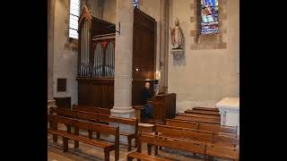 Orgue dArradon  Andreas Kneller  Praeludium dmoll [upl. by Eyk918]