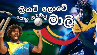 ක්‍රිකට් ලොවේ පොලු ගැලවූ මාලී [upl. by Anaig]