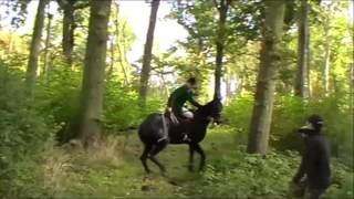 Waveney Harriers  Kirby Cane 29th October 2016 [upl. by Pollie]