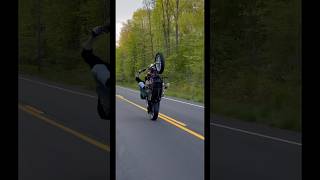 Harley Dyna wheelie out strollin the block [upl. by Mccully]