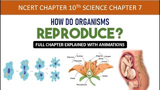 How do organisms reproduce Animation  Class 10 Science Chapter 7 NCERT CBSE Full chapter [upl. by Chrisman]