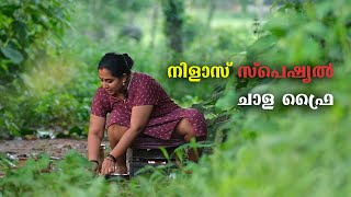 നിളാസ് സ്പെഷ്യൽ ചാള ഫ്രൈ 🐟  Nila Nambiar Offical [upl. by Hutchinson]