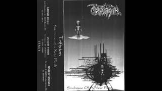 TRIFIXION – Sindrome Of A New Flesh 1992 [upl. by Odarnoc856]