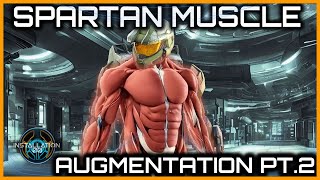 Spartan Muscle Augmentations  A Comparison [upl. by Natsirc]