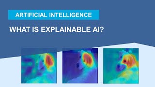 What Is Explainable AI [upl. by Aicemat]