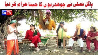 Funny Video Noori Noor Nazer Pagal Musali Bhola Mhr Akhtar New Funny Punjabi Comedy Video You Tv HD [upl. by Arriaes]