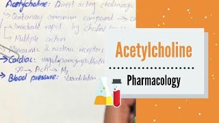 ACETYLCHOLINE  pharmacology  Cholinergic agonist [upl. by Jb]