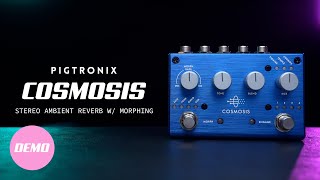 Pigtronix Cosmosis  Stereo Ambient Reverb with Morphing  Official Demo [upl. by Milda]