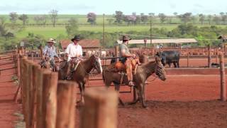 COMO INICIAR UM CONFINAMENTO EM PEQUENAS PROPRIEDADES [upl. by Aiuqes]