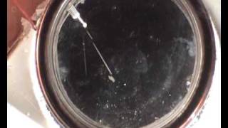 Diffusion Cloud Chamber Peltier cooled [upl. by Ylloj]