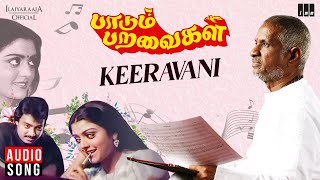 Keeravani Song  Paadum Paravaigal Movie  Ilaiyaraaja  Karthik  Bhanupriya  SPB  S Janaki [upl. by Del813]