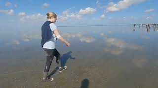 Enjoying Mudflat walking in The Netherlands in 4K [upl. by Acinad]