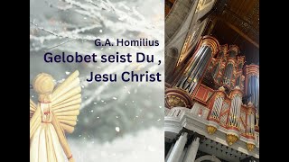 Homilius  Gelobet seist Du Jesu Christ [upl. by Onairot]