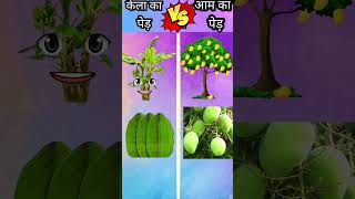 Kela Tree versis aam Tree shorts fan facts funny trending video [upl. by Jarin]