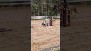 Vídeo do percurso 🌟COMPLETO🌟 no canal Assistam🤩💙🌟 haraslaguna hipismo horse [upl. by Earej843]