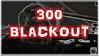 500 Budget AR15 300 Blackout Project Build Overview amp Accuracy [upl. by Nil843]